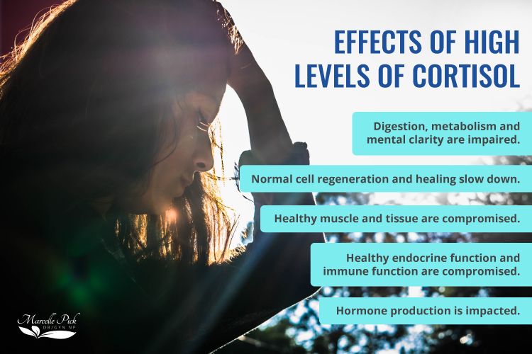 effects of high levels of cortisol infographic