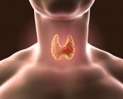 Thyroid Stimulating Hormone