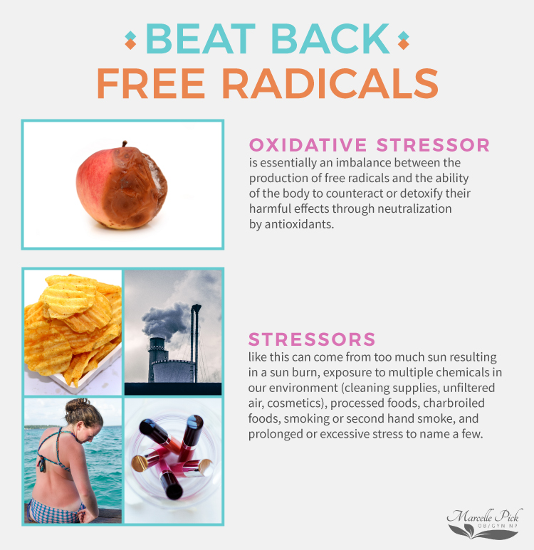 beat back free radicals infographic