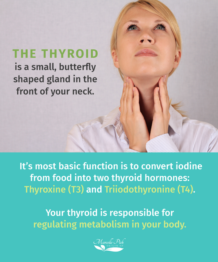 What is the thyroid infographic