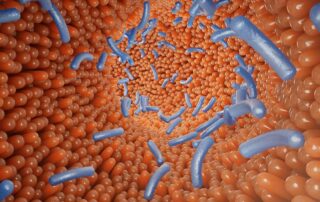 dysbiosis balancing gut bacteria