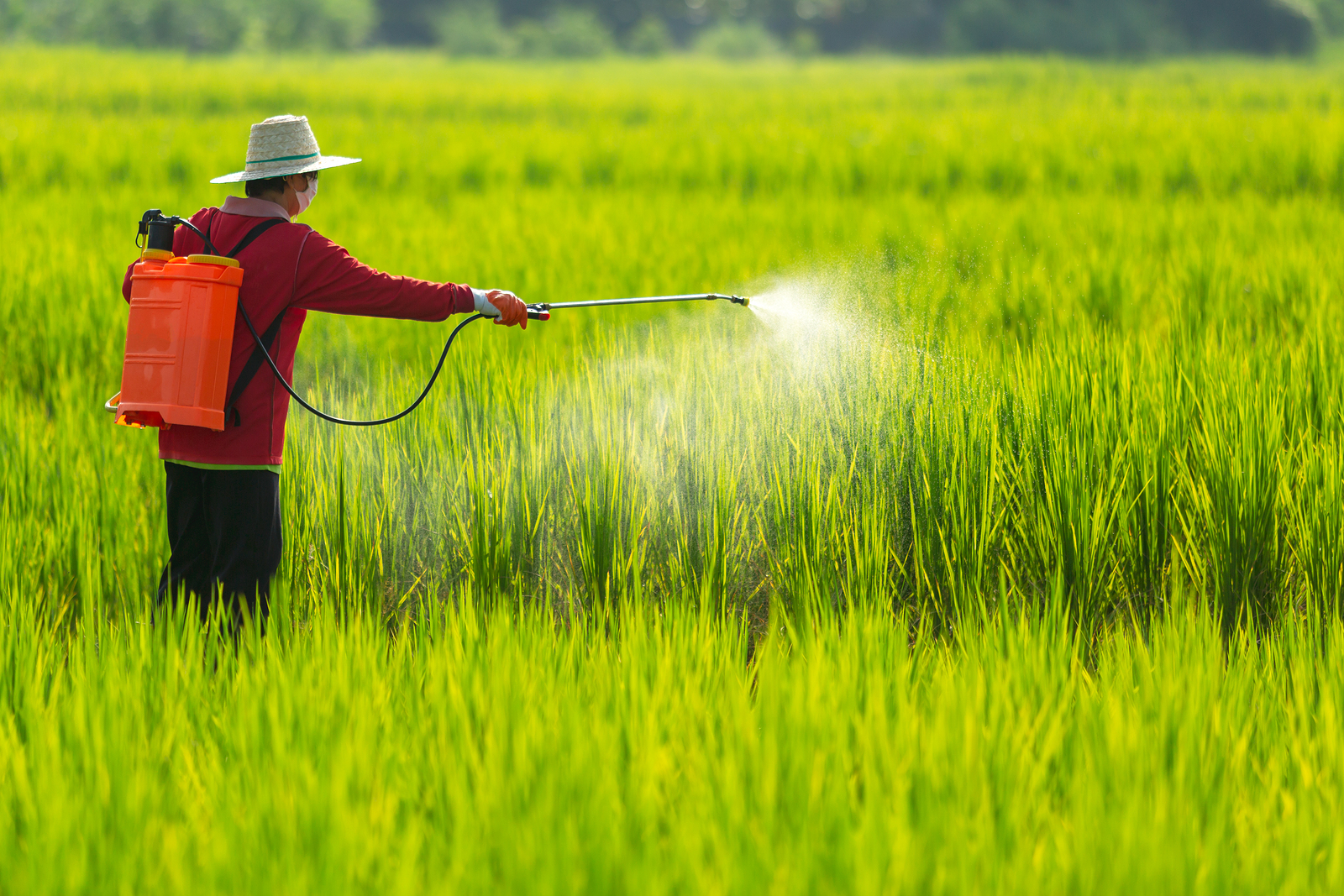 pesticides and autism