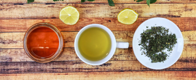 healthy immune system