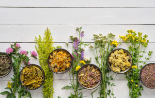 herbs for hormonal balance