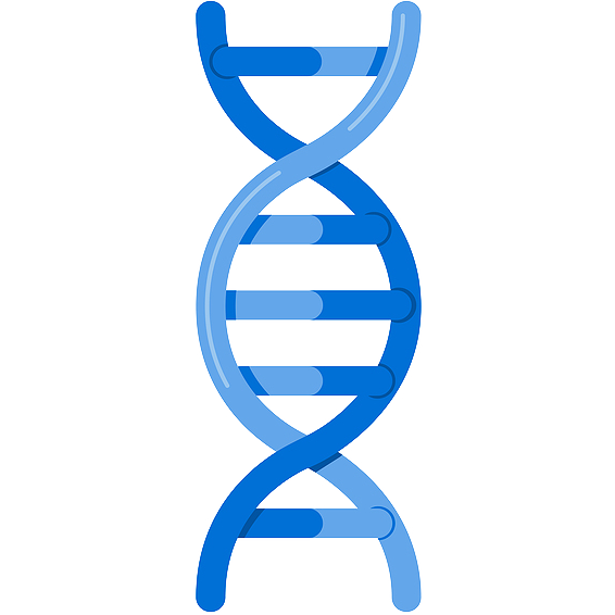 dna strand